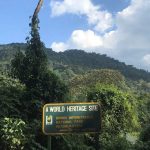 Bwindi UNESCO World Heritage Site
