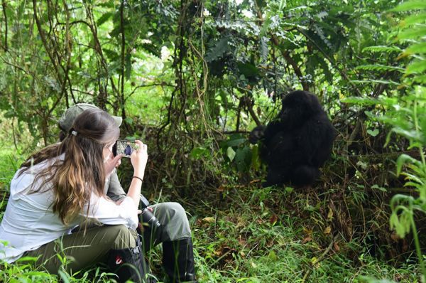 gorilla-trekking | Bwindi Impenetrable National Park