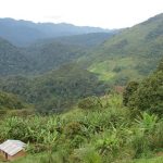 Bwindi Village