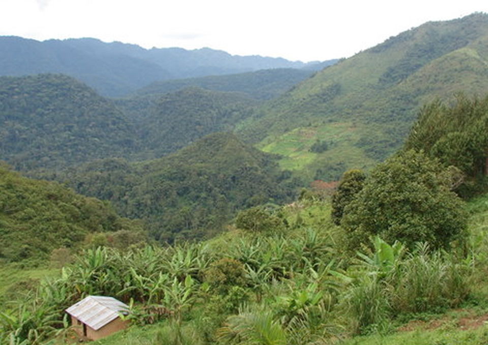 Bwindi Village