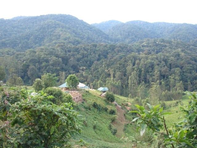 Rushaga Developments