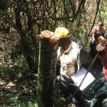 Bwindi Conservation Concern