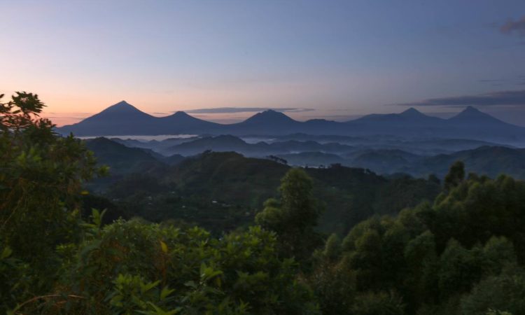 Nkuringo Region in Bwindi