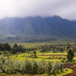 Virunga Volcanoes