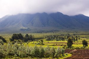 Virunga Volcanoes