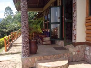 Bwindi Forest Lodge