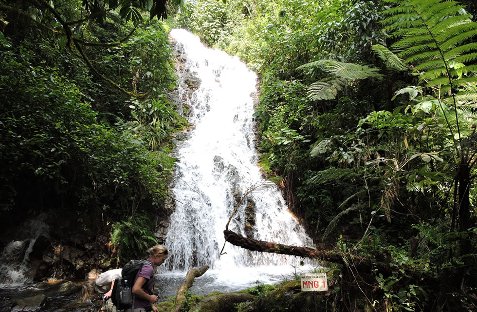 Bwindi Waterfall in Uganda