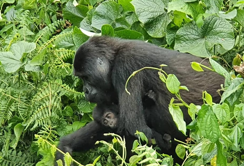 Furaha with a baby in Bwindi