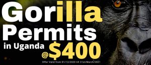 Gorilla Permit Cost