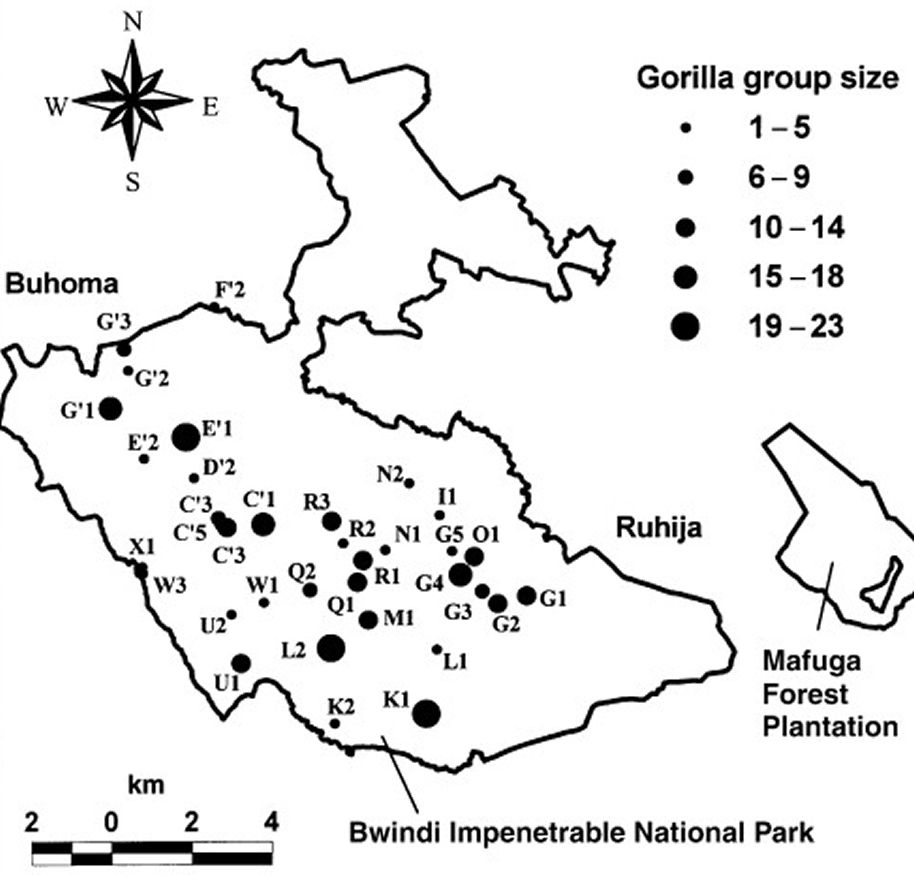 Bwindi Gorilla Groups Map