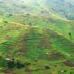 Kigezi Highlands