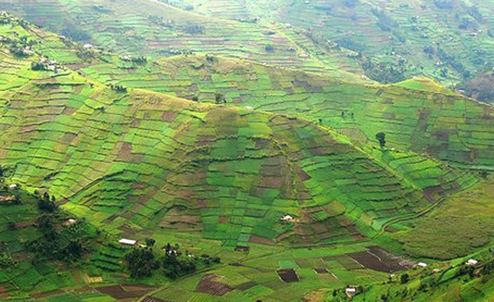 Kigezi Highlands