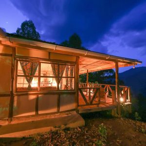 Gorilla Close Up Lodge