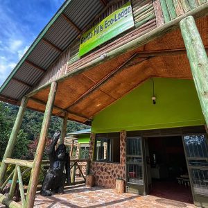 Gorilla Hills Ecolodge