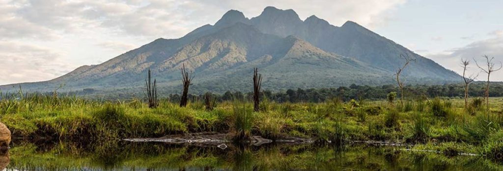 The Virunga Volcanoes