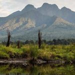 The Virunga Volcanoes